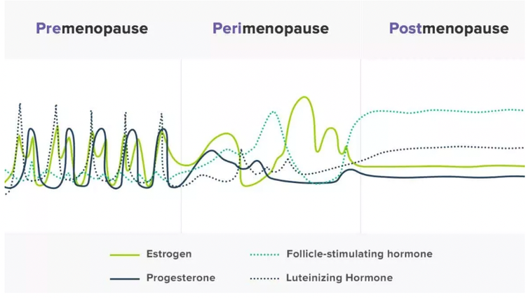 Hormone fluctuation | Menopau