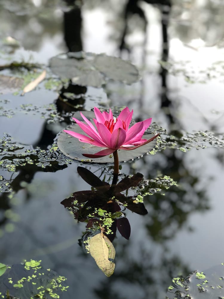 Spirituality and Menopause