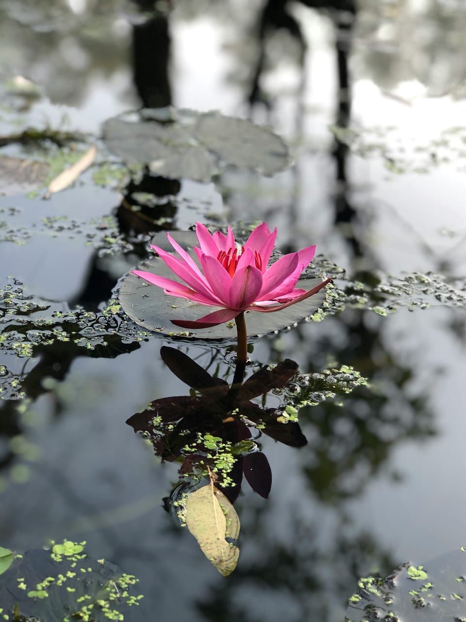 Spirituality and Menopause